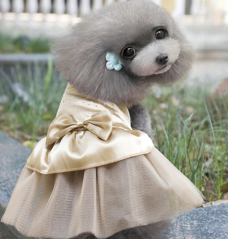 Dog Dress