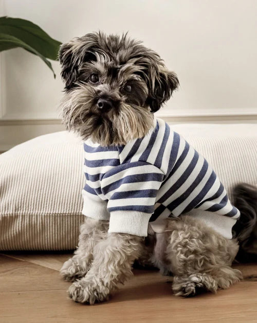 Striped Dog Sweatshirt