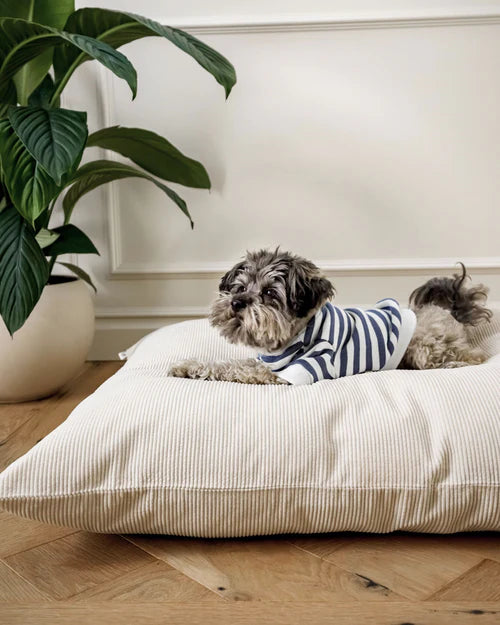 Striped Dog Sweatshirt