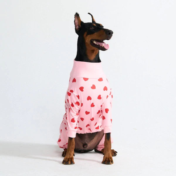 Dog Pajama Prints